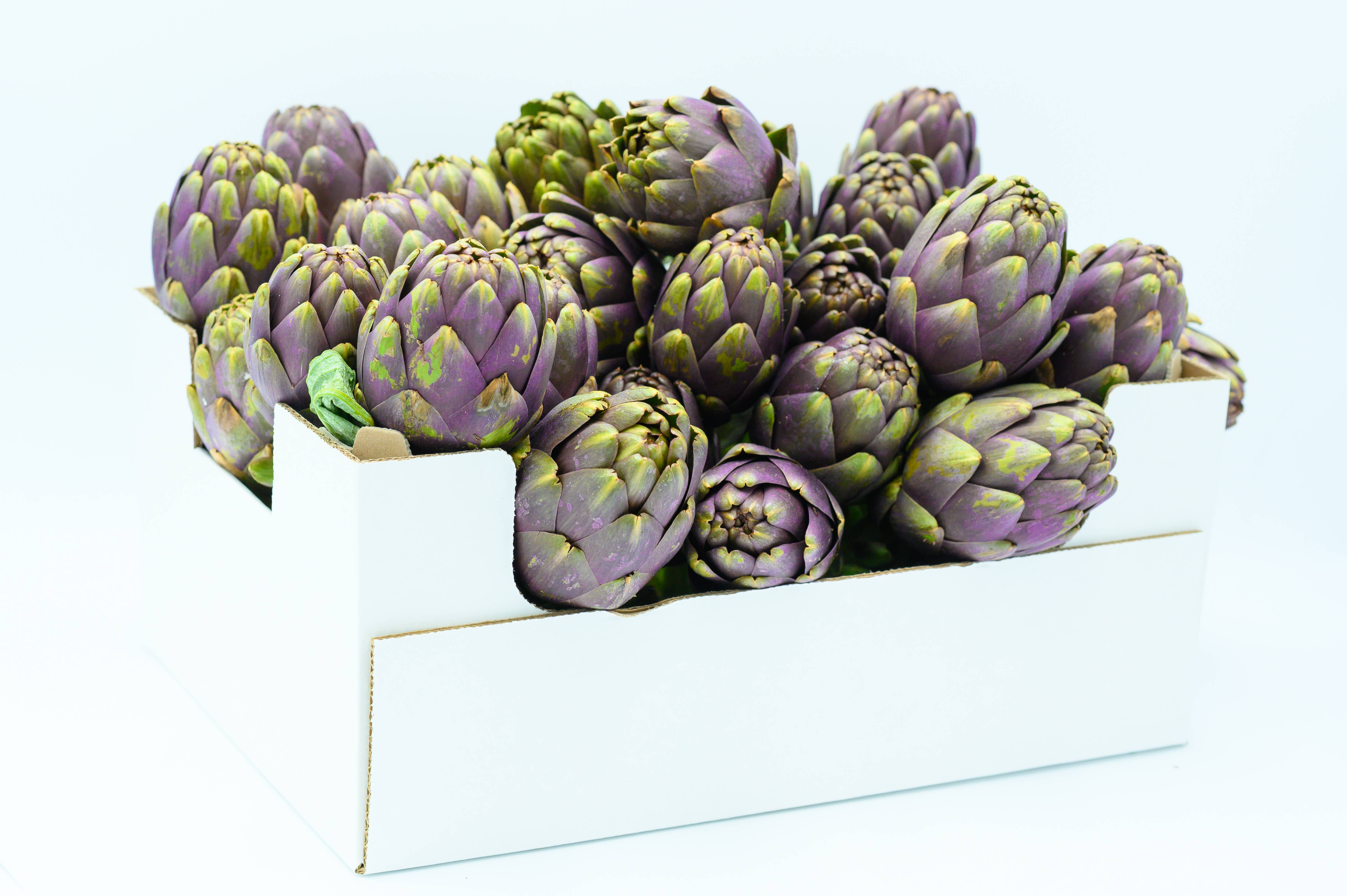 almasicily – Großhandel Pastasoße – Sizilianische Artischocke Caponata 500g Glas8