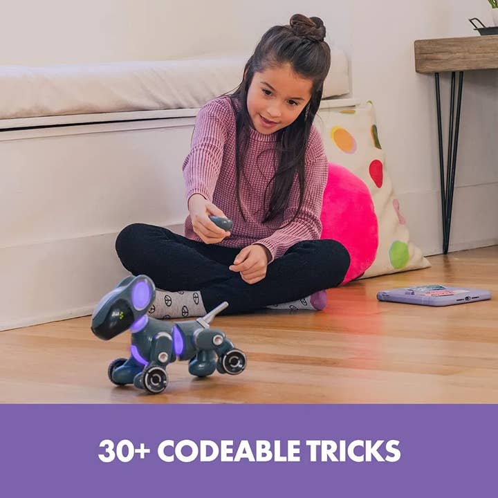 Learning Resources - Wholesale Electronic Toy - Kids & Baby - Pyxel the Coding Pet2