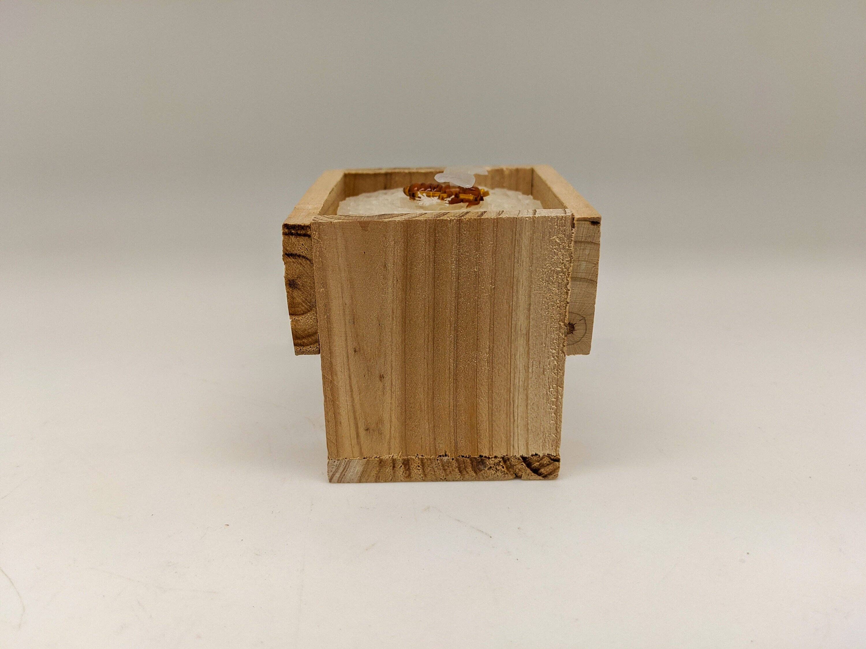 Green Pastures Wholesale - Wholesale Novelty Candle - Natural Beeswax - Small 4''x 2.5'' pillars in  White/Yellow5