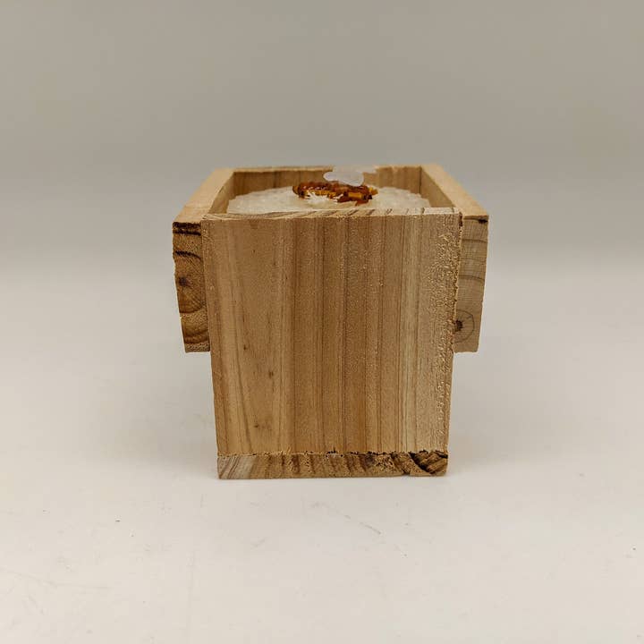 Green Pastures Wholesale - Vendita all'ingrosso Candele regalo - Cera d'api naturale - Piccole colonne 4''x 2.5'' in Bianco/Giallo5