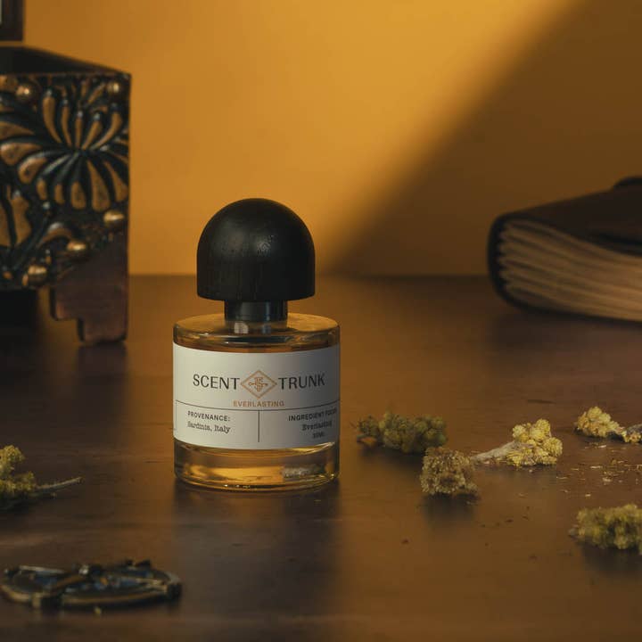 Scent Trunk - Wholesale Perfume/eau de toilette - Everlasting4