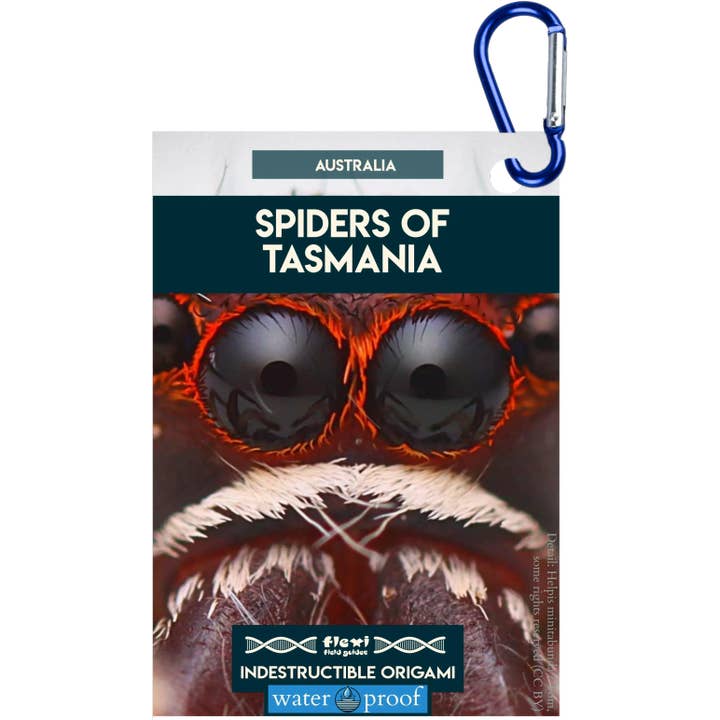 Ragni della Tasmania-Indistruttibile Origami per la vendita all'ingrosso da parte di Flexi Field Guides