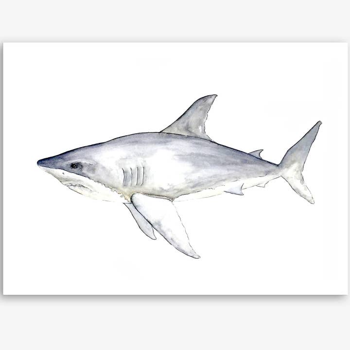 Great White Shark Print (multiple size options) for wholesale by Art by BGates