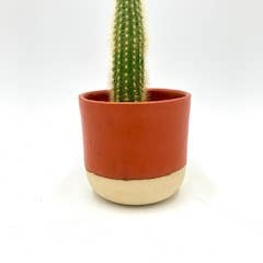 Ruby Farms Pottery - Wholesale Plant Pot - Medium Wonky Handmade, Ceramic Plant Pot/Planter