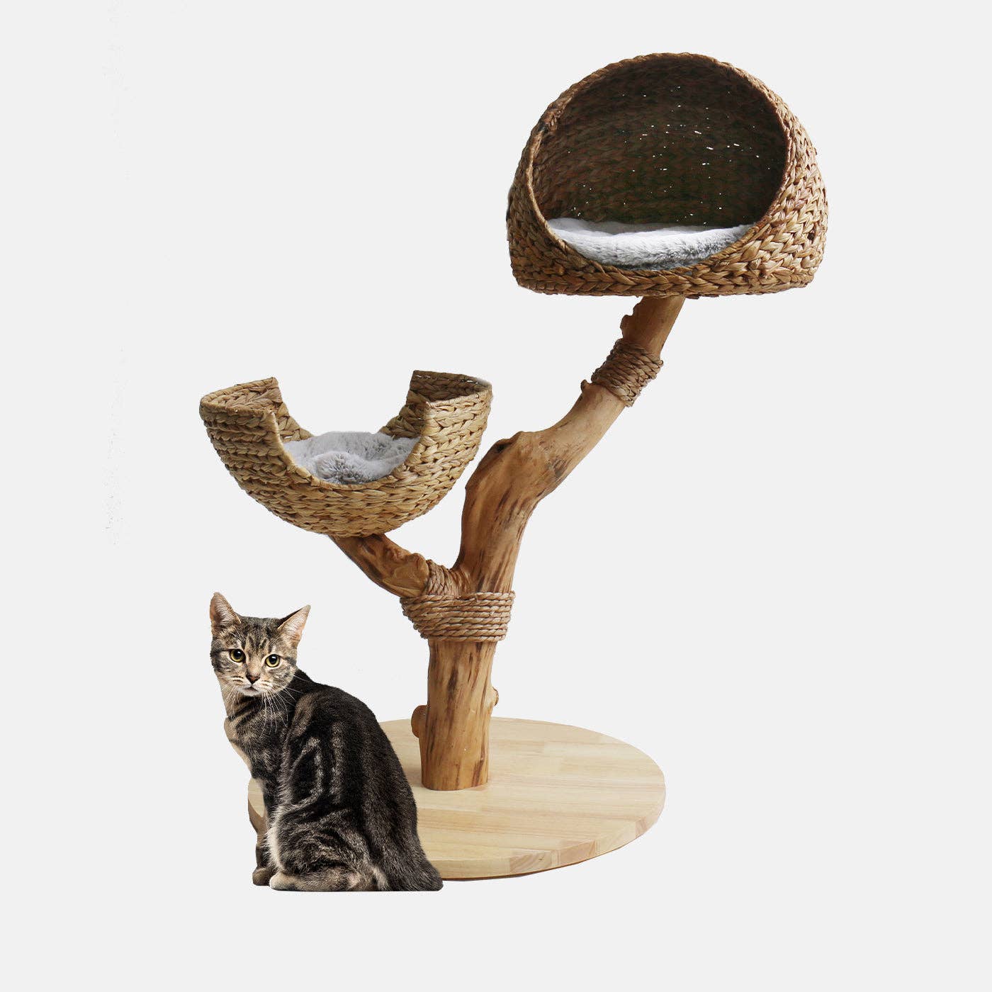 Lords and Labradors - Vente Griffoir – chat - Back to Nature - Arbre à griffer Duo pour chats2