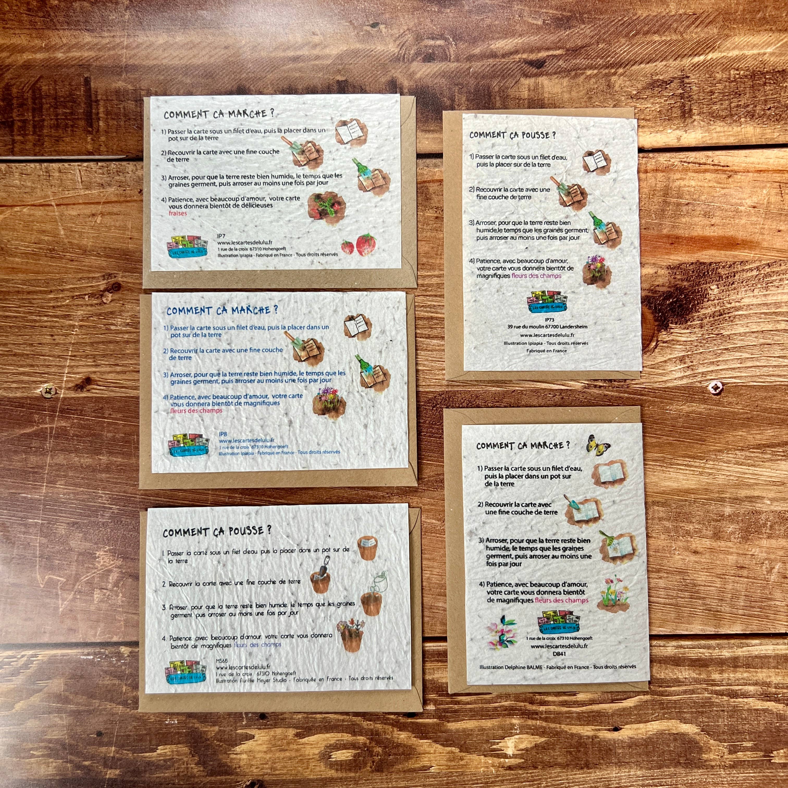 Les cartes de Lulu - Wholesale Gewone wenskaart - Plantbare kaarten voor bruiloft, geboorte, pensioen, condoleance...3