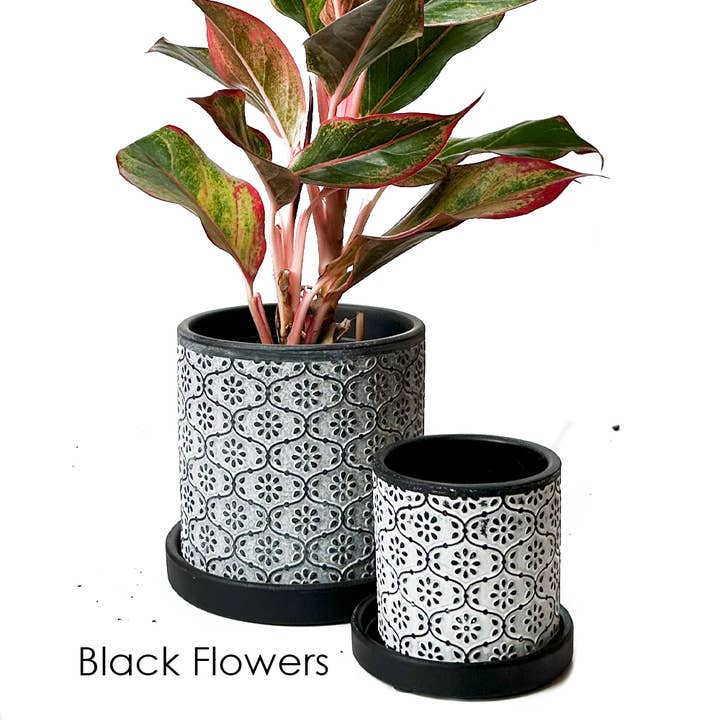 Chive - Wholesale Plant Pot - Balter Succulent Containers Cactus Pot And Saucer