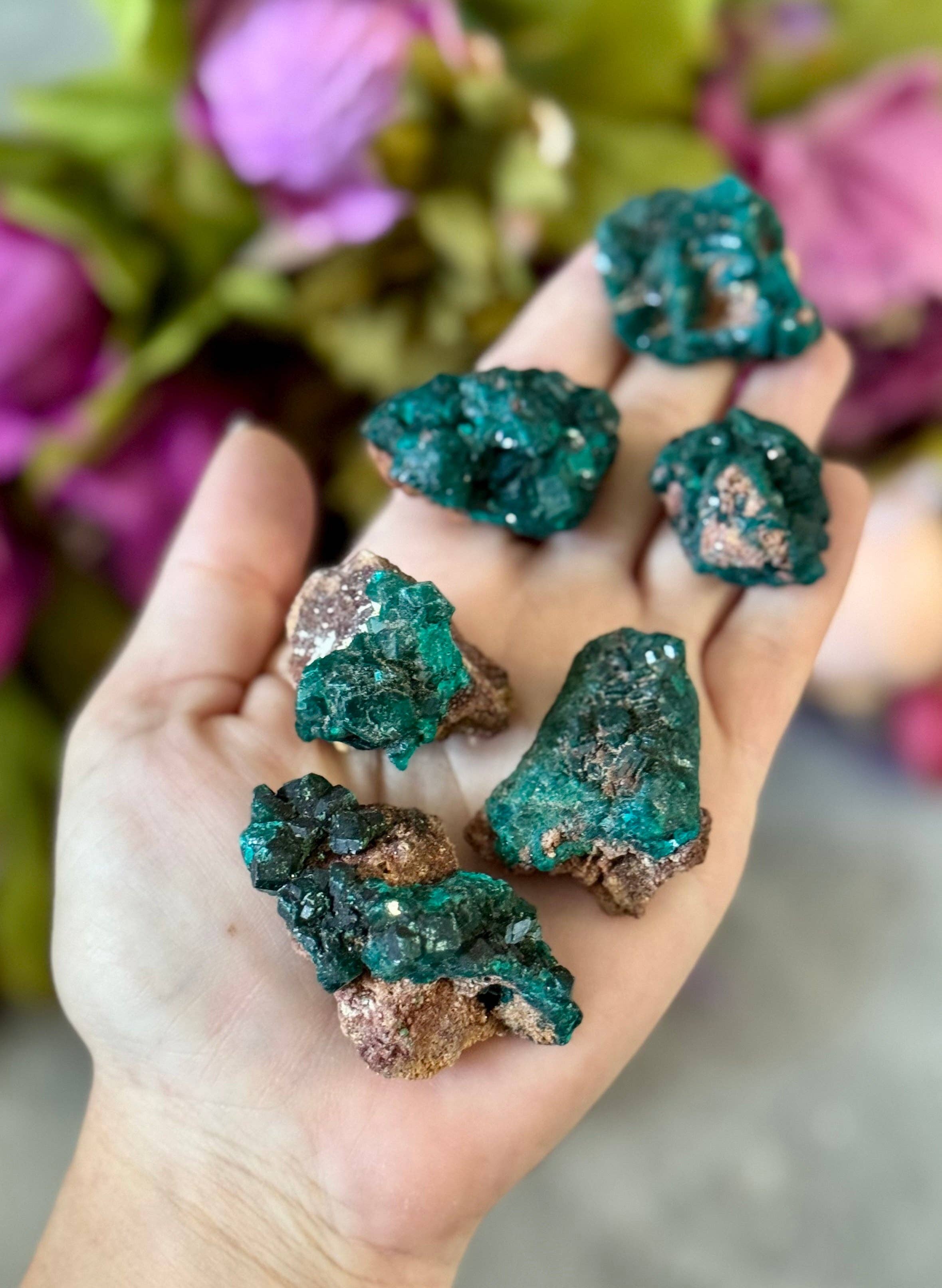 Mandala Gems - Vendita all'ingrosso Pietra/cristallo spirituale - Campioni di Cristallo di Dioptasio Grezzo, Minerale di Dioptasio Verde4