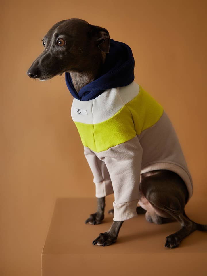 Italian Greyhound / Whippet Dark Color-Blocked Hoodie MACARON for wholesale by The Striped Dog