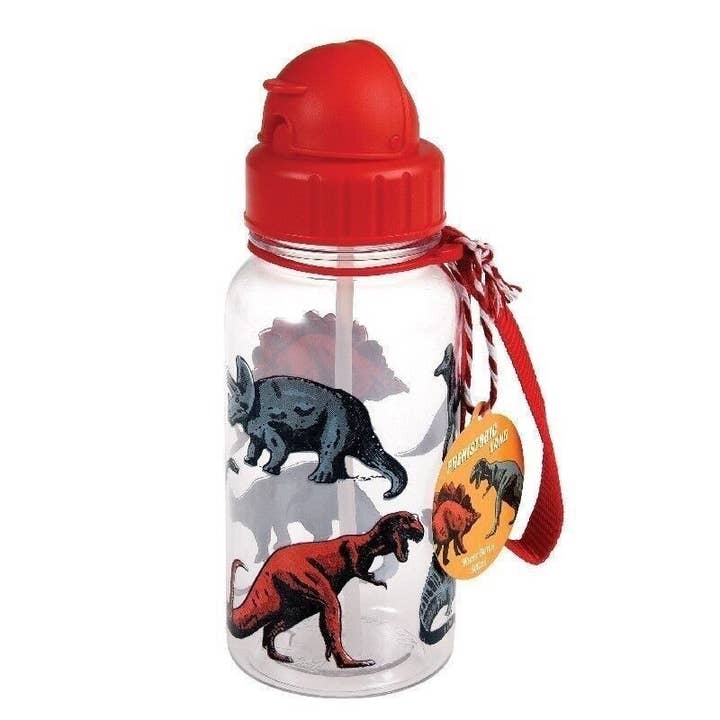 Children's Water Bottle With Straw 500ml - Prehistoric Land for wholesale by Rex B2B - UK