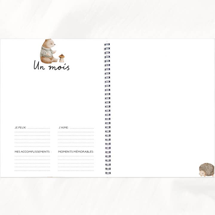 Rainbows&Lollipops Inc - Wholesale Memory Book - Kids & Baby - Journal de Grossesse et Livre de Naissance Unisexe #146