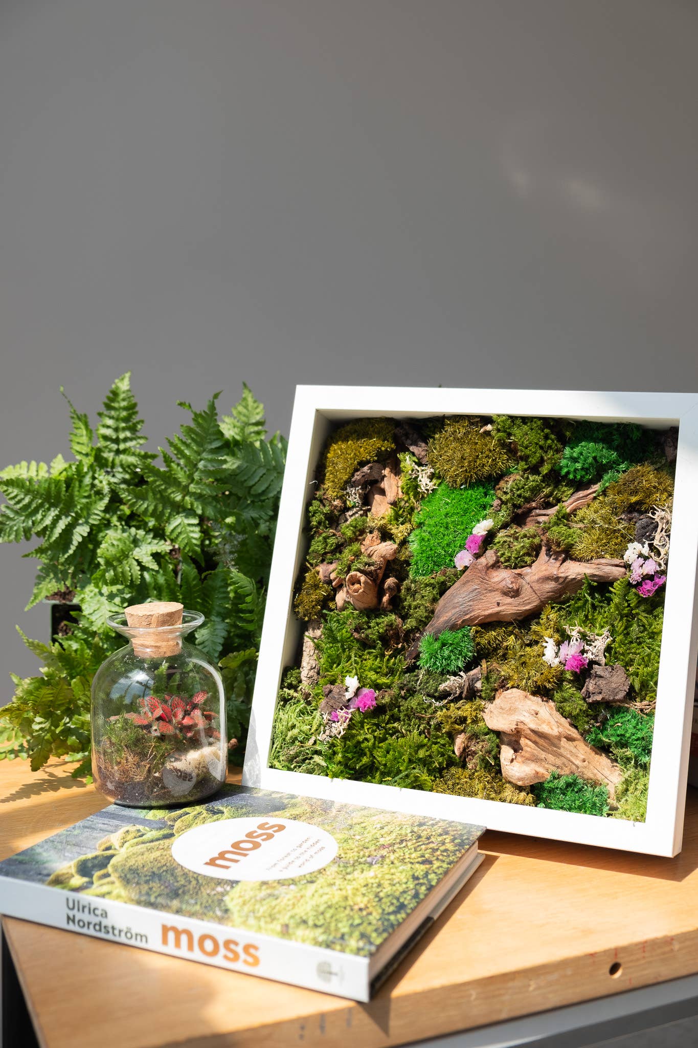 TERRART NYC - Wholesale Wall Planter - Moss Heaven - Moss Wall2