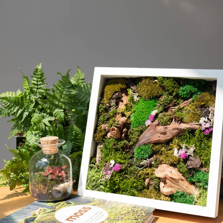 TERRART NYC - Wholesale Wall Planter - Moss Heaven - Moss Wall2