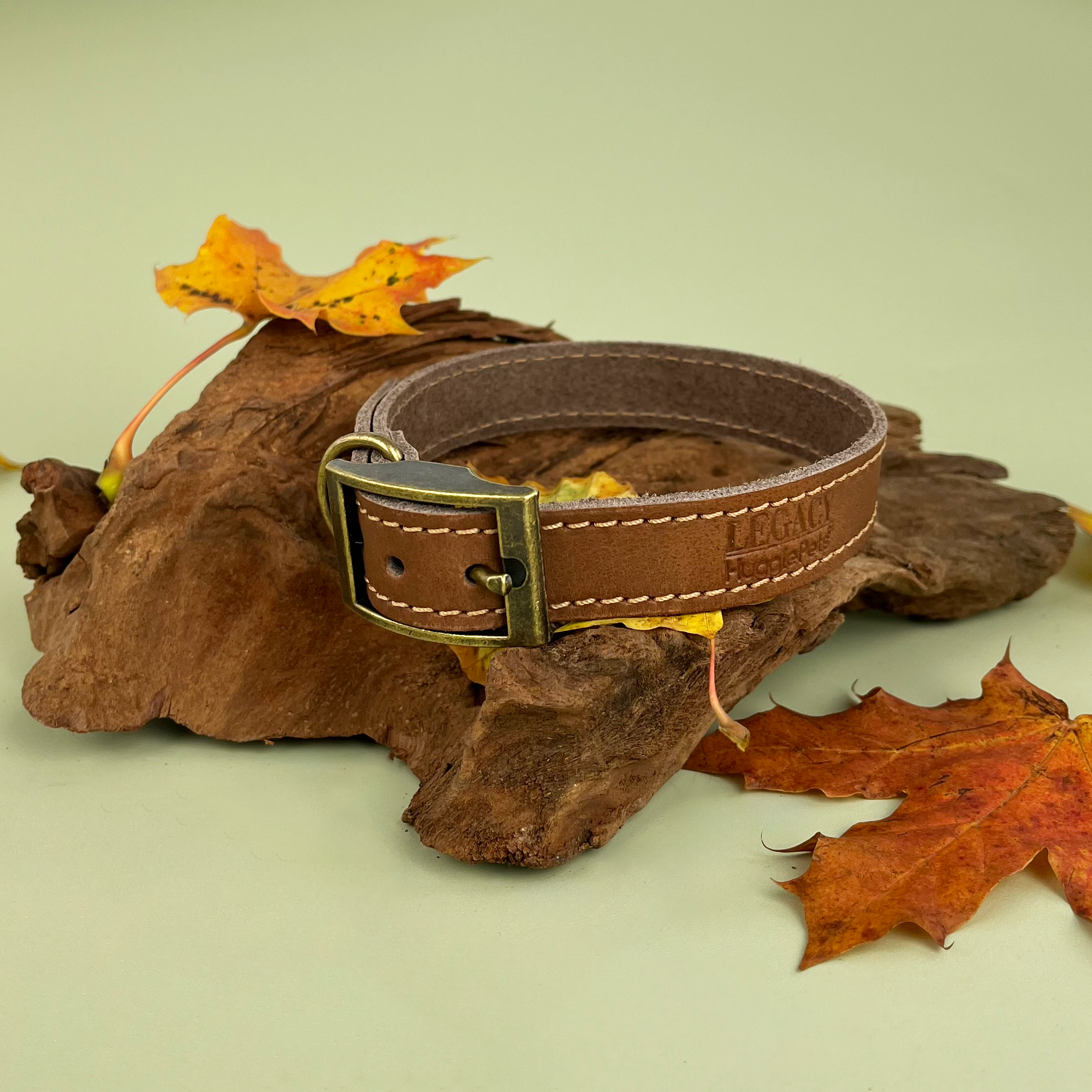 HugglePets – wholesale Pet collar – Dog – HugglePets Legacy Leather Dog Collar39