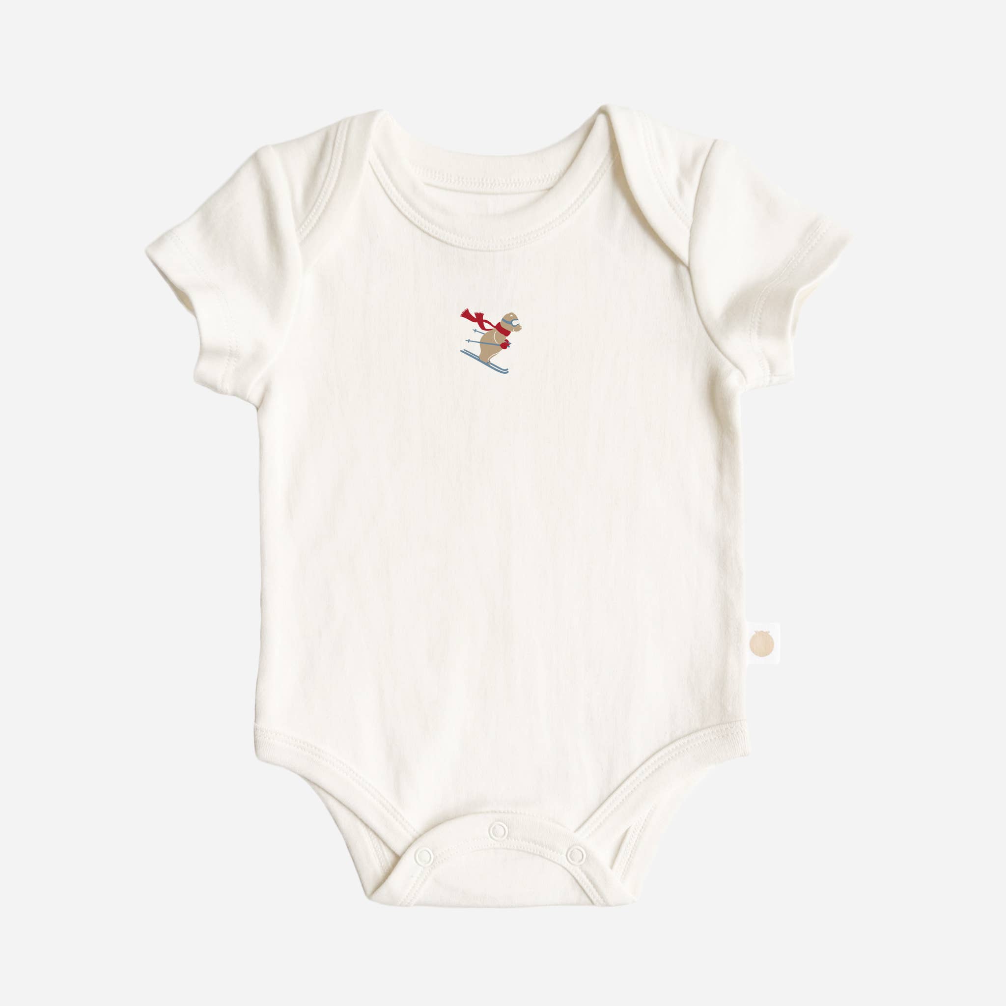 The Blueberry Hill - Wholesale Bodysuit (Non-Footed) - Baby - Onesie Ski Bear Baby Bodysuit Organic Winter Graphic Gift