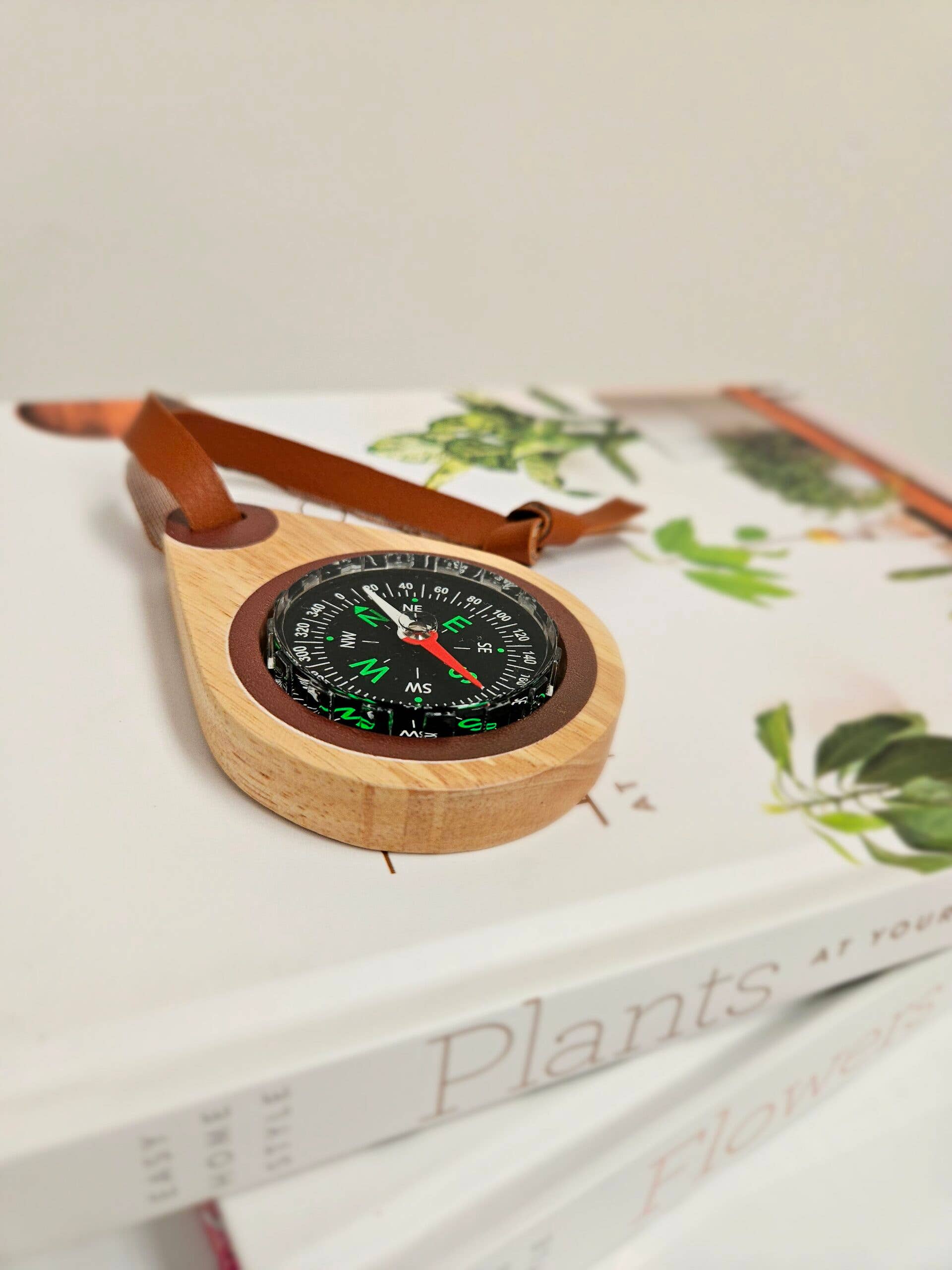 QToysUSA - Wholesale Wood Toy - Kids - Wooden compass2