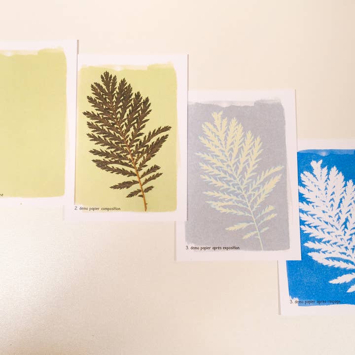 L'Atelier des Epatants – Kit de artesanato DIY por atacado – Kit de cianotipia5