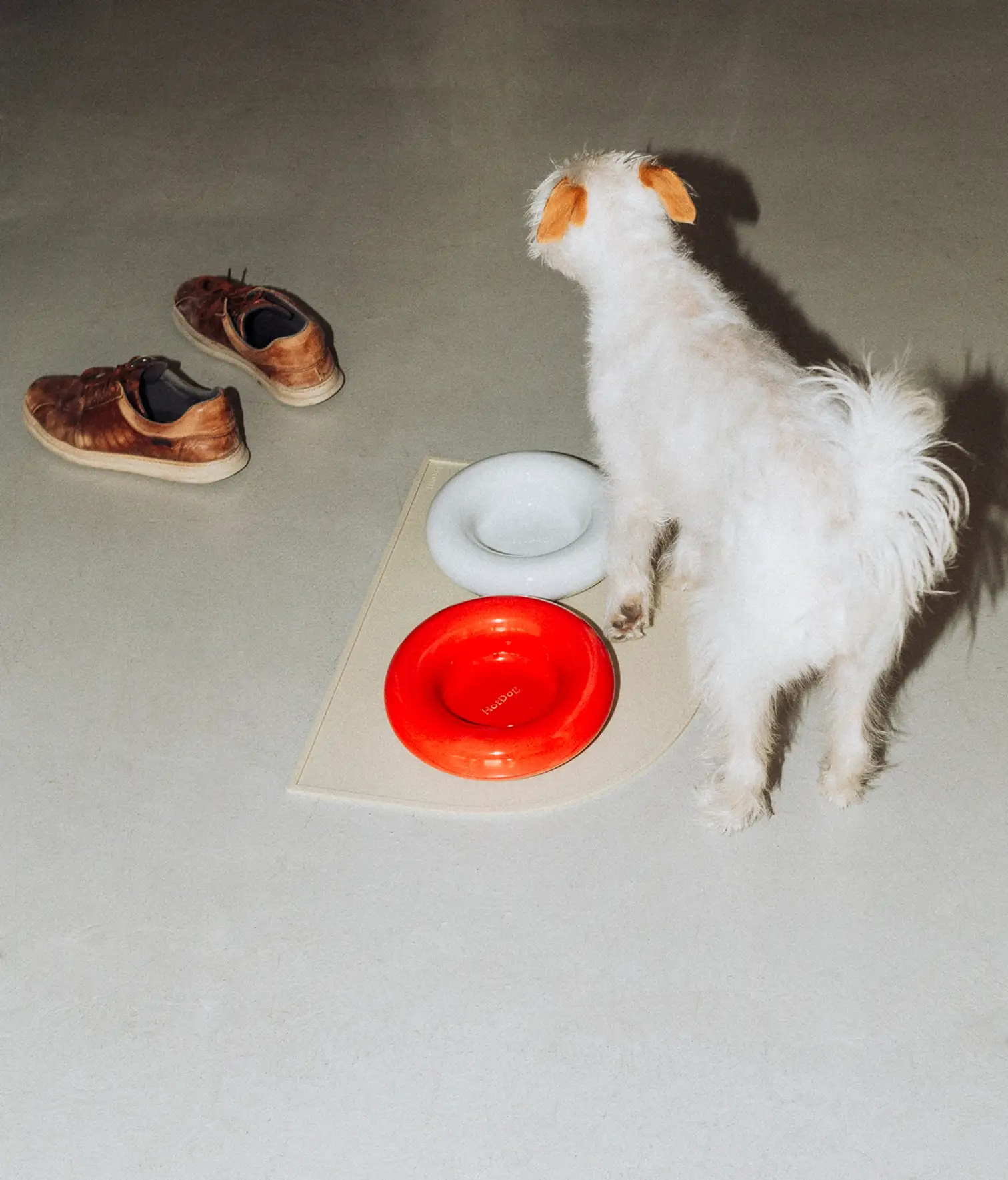 HotDog Pets - Wholesale Pet Bowl - Cat/Dog - White ceramic dog feeder4
