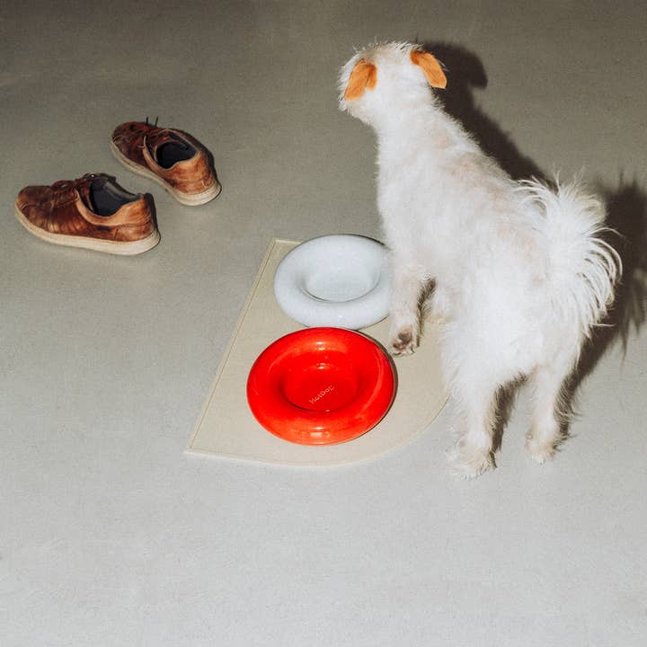 HotDog Pets - Wholesale Pet Bowl - Cat/Dog - White ceramic dog feeder4