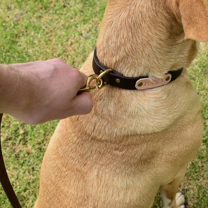 Integral Leather - Wholesale Pet leash – Dog - Brown Leather Dog Leash | Personalised Dog Lead | Brass Snap Genuine Leather3