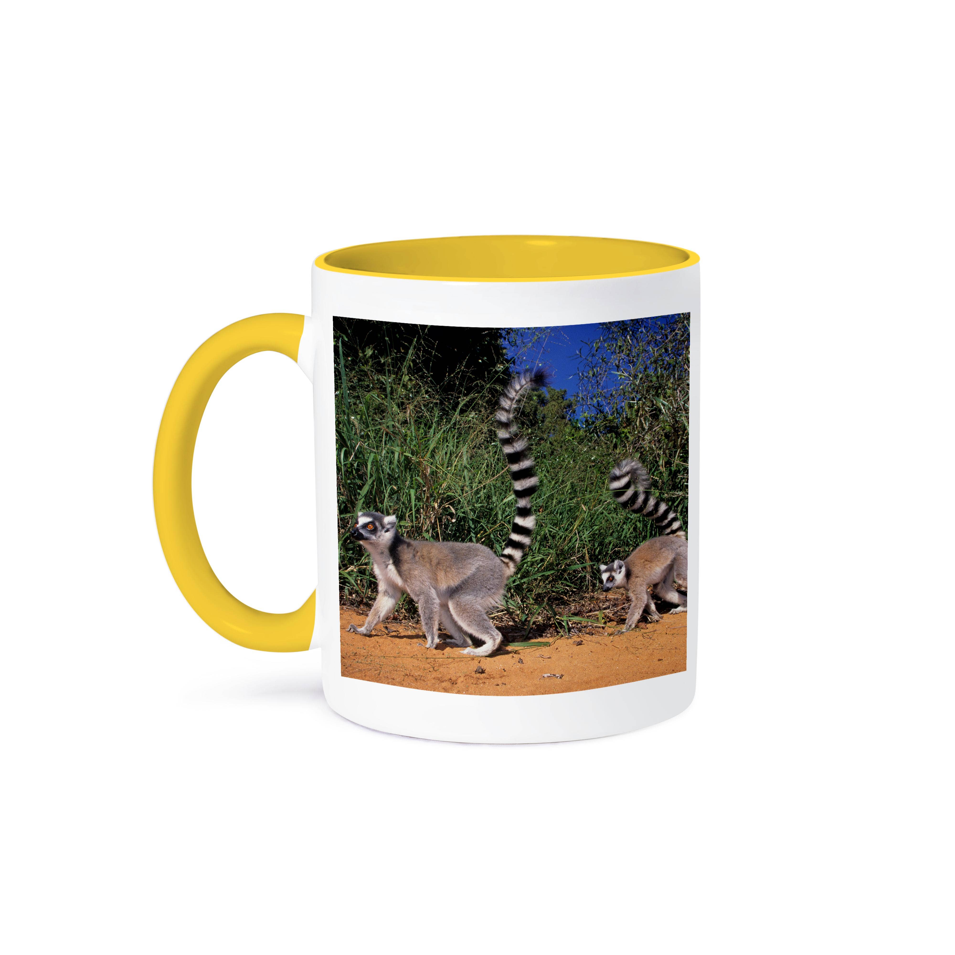 3dRose – Caneca por atacado – 3dRose, Lémures de cauda anelada, Lemur catta, Berenty, Toliara, Madagáscar., Caneca0