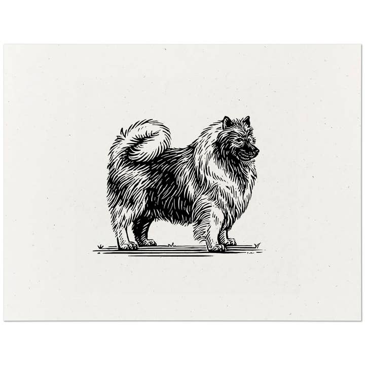 Keeshond Print for wholesale by Dog Gone Studios