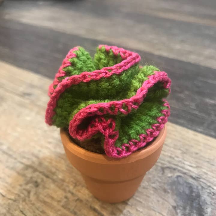 Rosemary's Baby MEK - Wholesale Decorative Tabletop Object - Crochet Mini Cactus Pots
