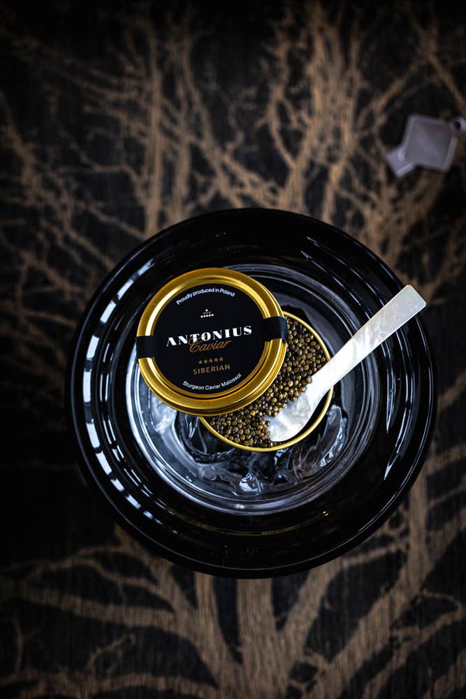 Antonius Caviar - Wholesale Fish/Seafood - Antonius Caviar: Siberian 6 stars 1000g1