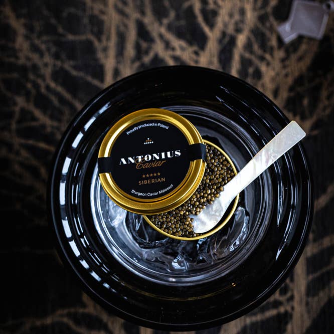 Antonius Caviar - Wholesale Fish/seafood - Antonius Caviar: Siberian 6 stars 1000g1