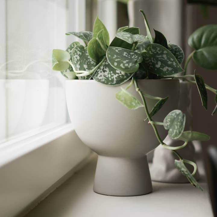 DBKD - Wholesale Plant Pot - FIGURE Small - mole1