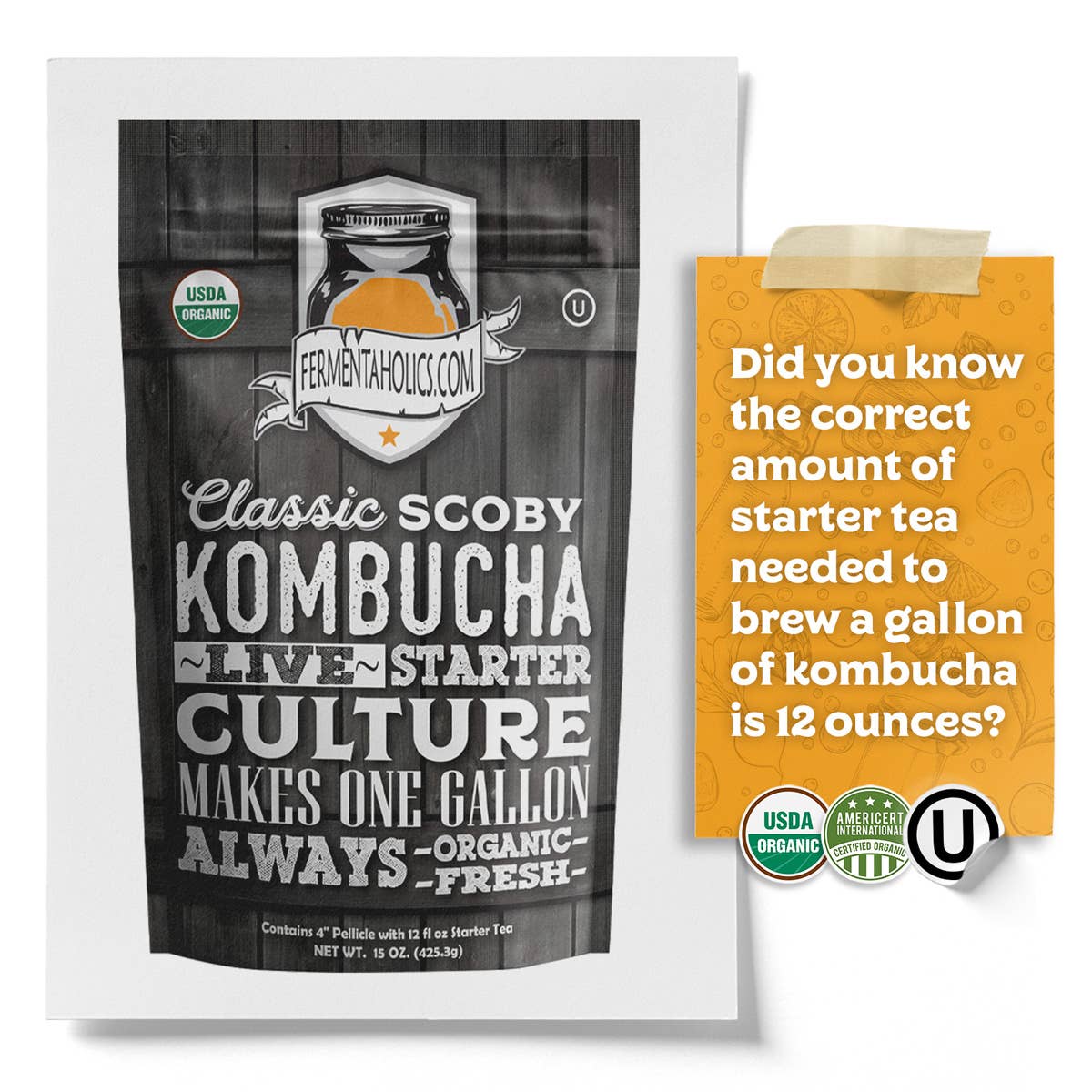 Fermentaholics - Wholesale Kombucha - Classic Kombucha Scoby9