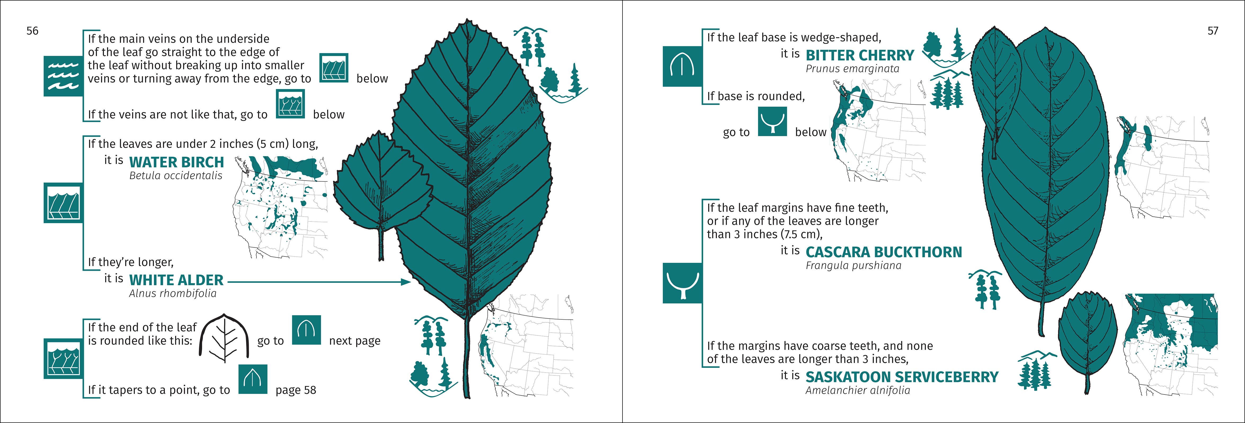 AdventureKEEN - Wholesale Nature & Outdoors - Rocky Mountain Tree Finder 3rd Edition10
