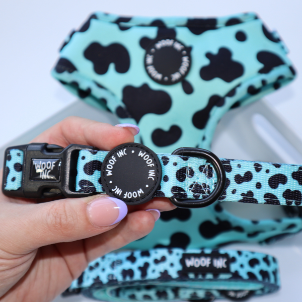 WOOF INC - Wholesale Pet Collar - Dog - Mint Green Cow Print Funk Dog Collar Adjustable2