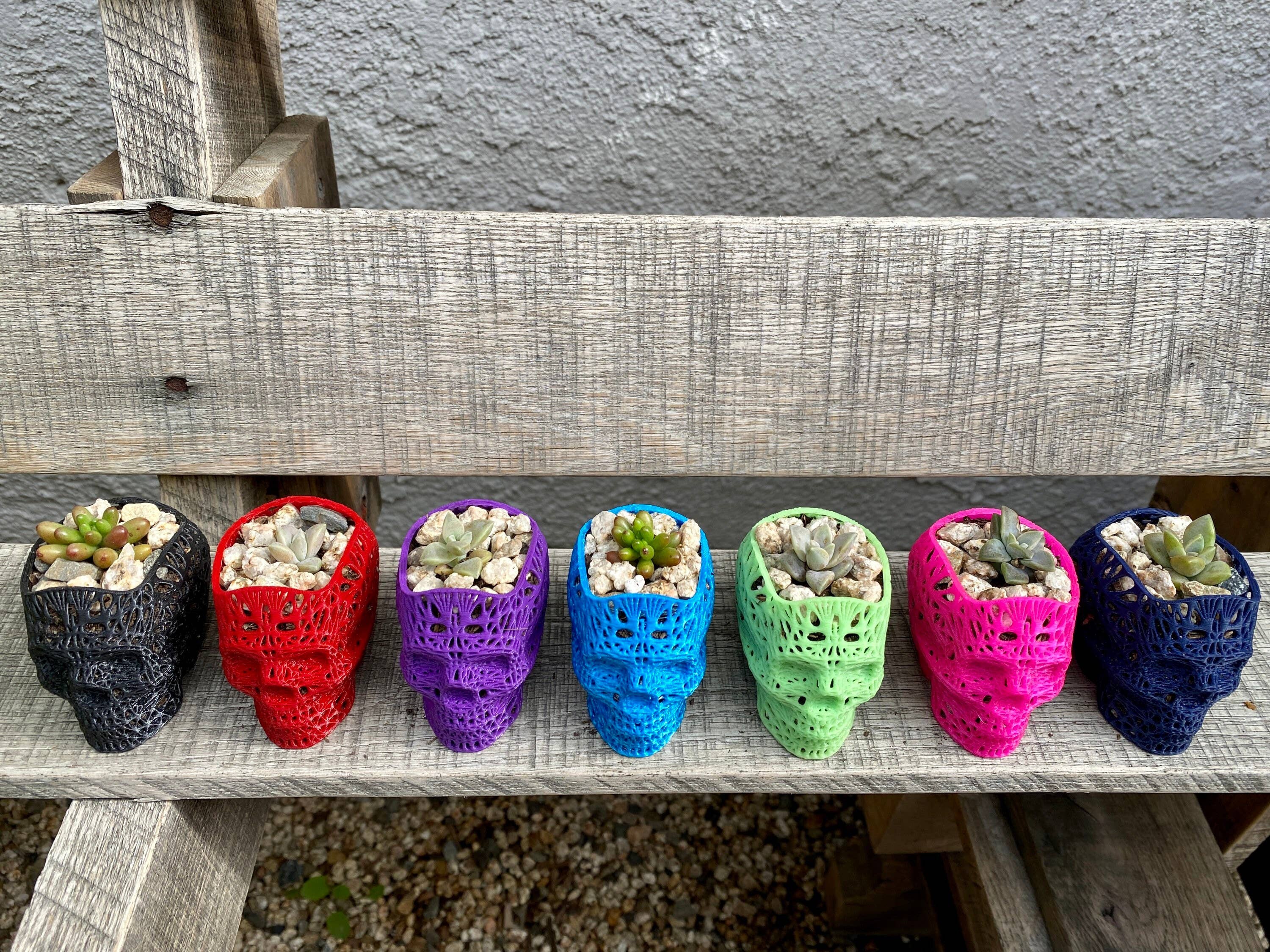 NumanPrints - Wholesale Plant Pot - 3D Printed Succulent Skull Planter Pot Small Indoor5