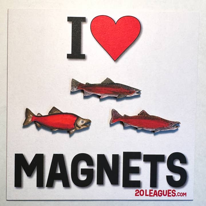 20 Leagues - Wholesale Magnet - I Heart Magnets! Salmon Magnet Set0