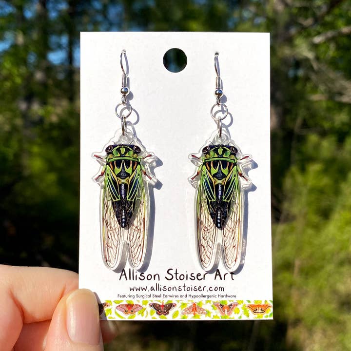 Acrylic Linne’s Cicada Earrings for wholesale by Allison Stoiser Art