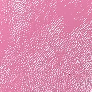 Tracey Tanner – wholesale Phone wallet – women's – Tia Crossbody Phone Case57