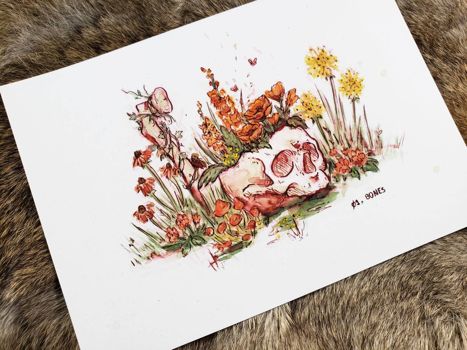 Tia Kinsman - Wholesale Art Print - Bones & Flowers Fine Art Print1