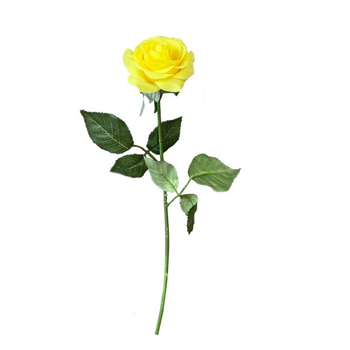 Angel Isabella - Wholesale Artificial Flowers - Pack of 48 Or 50 stems-17"Longe Stem Real Touch Rose