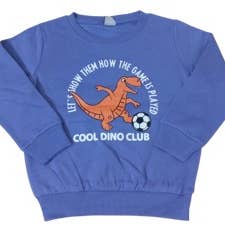 BOYS SWEATSHIRT - BLUE for wholesale by SPIRIT VISION PRODUCTS