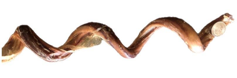 Willy's Wags Natural Pet Treats - Wholesale Pet Treats - Dog - Curly Bully Stick 10-12 Inch1