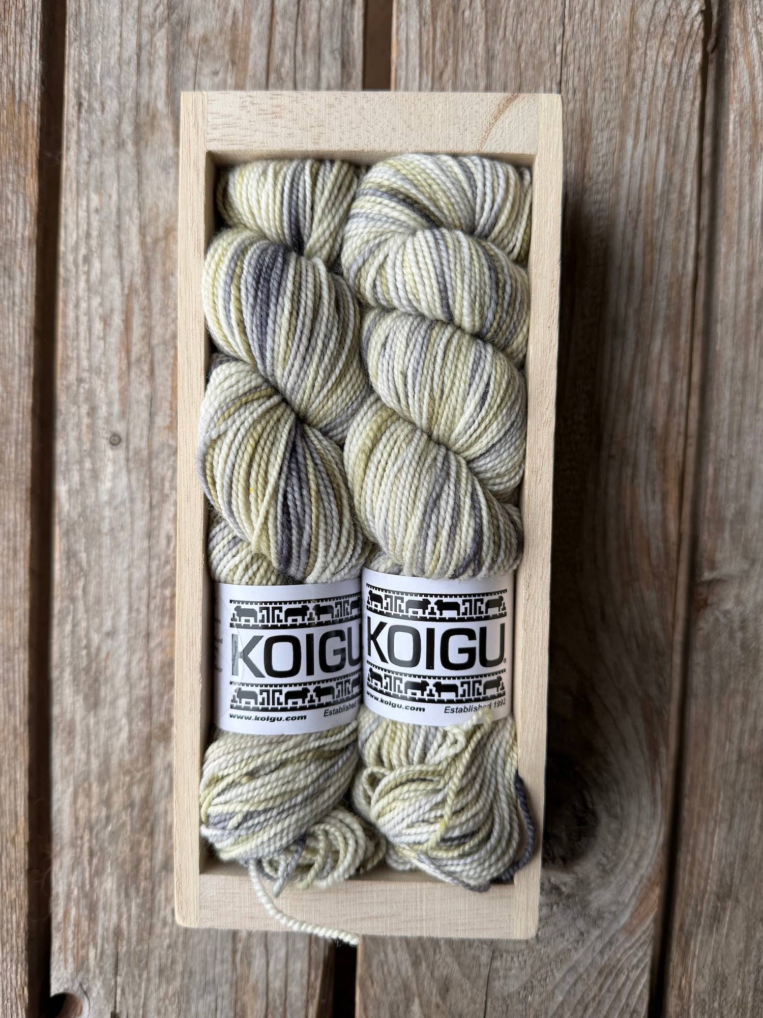 Koigu Wool Designs - Wholesale Yarn - Koigu Sock Crate3
