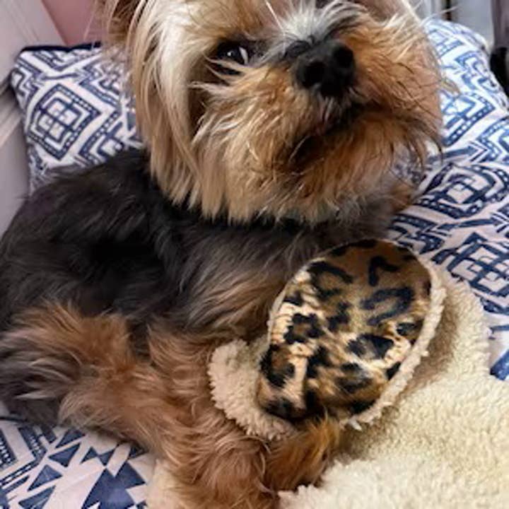 Whiskers 'n Paws Unique Pet Gifts, LLC – Peluche - Cão por atacado – Mini Franny, brinquedo para reduzir o estresse, auxiliar de redução de ansiedade6