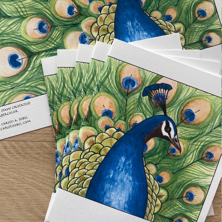 Peacock blank notecard for wholesale by Christi Sobel