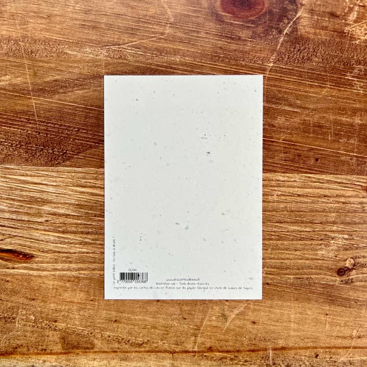 Les cartes de Lulu - Wholesale Birthday Card - A6 illustrated birthday postcard for children6