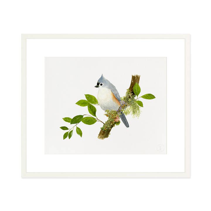 Felix Doolittle - Wholesale Art Print - Titmouse Songbird - Art Print2