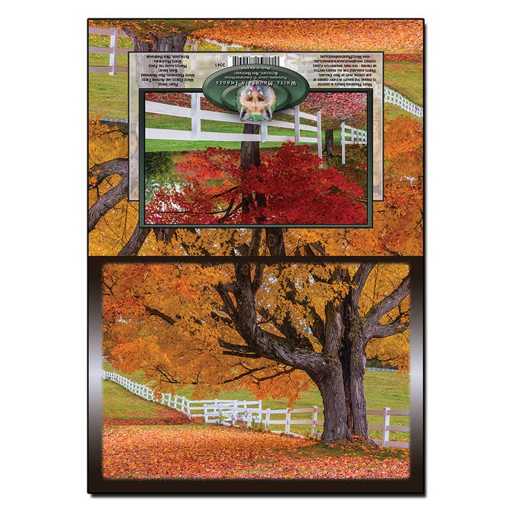 #3041 Carte Bloc-Clôtures d'Automne pour la vente par White Mountain Images