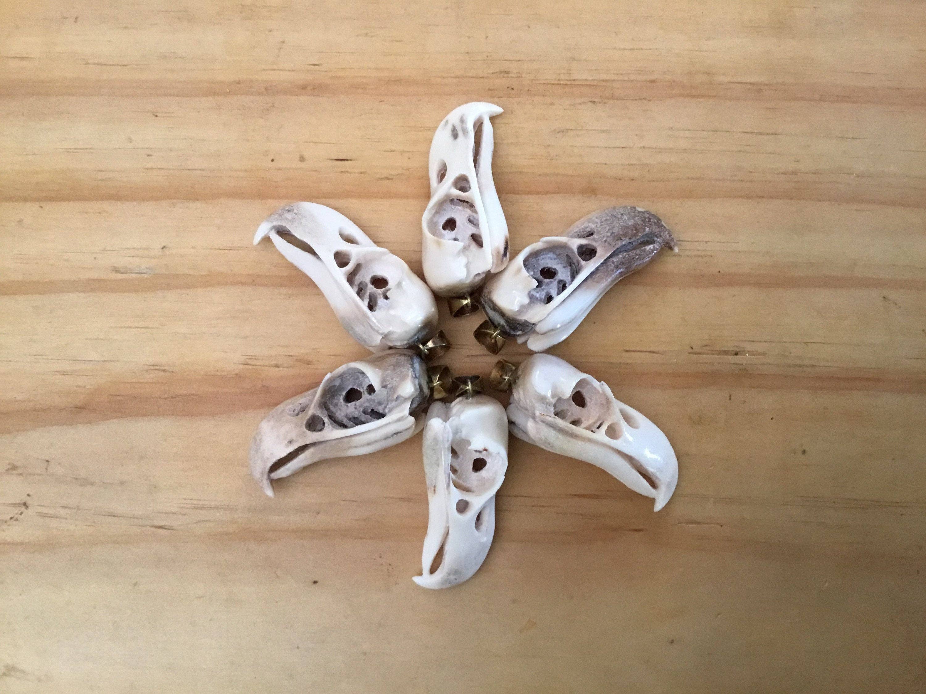 Feather Tribe - Vente Colliers à pendentif - Collier réplique de crâne d'aigle5