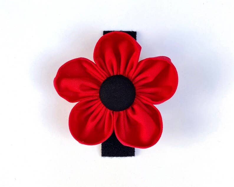 Darcy's Canine Designs - Wholesale Pet Collar - Dog - Red Poppy Collar Flower Pet Accessory2