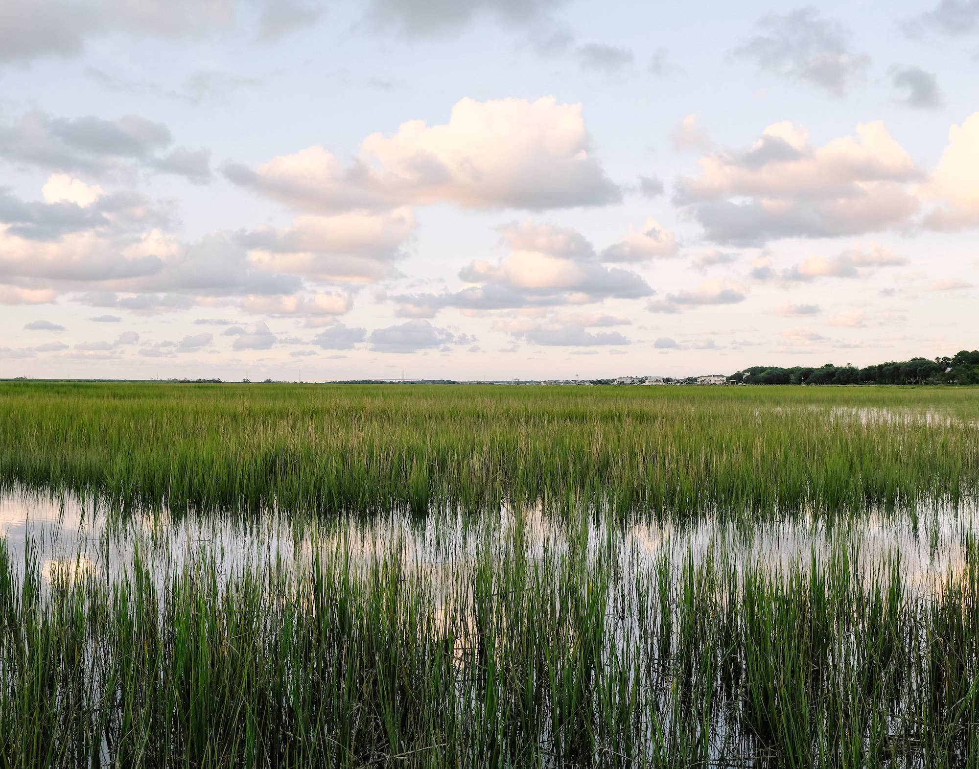 A Charleston Local - Wholesale Photograph - Sunset Marsh 1 | Charleston Photography Print1